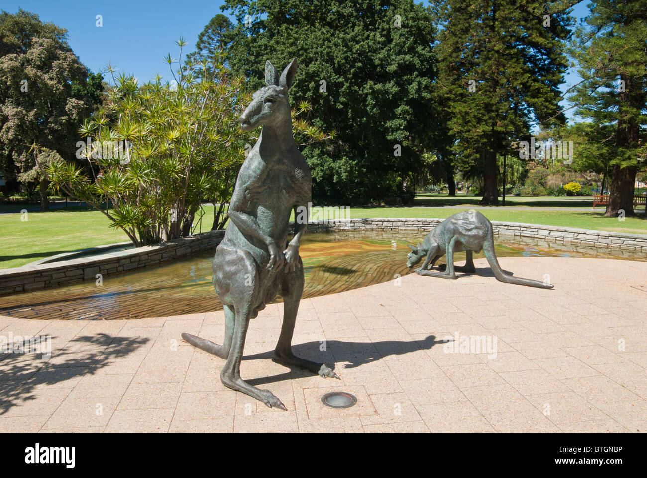Lifesize bronze kangaroo statues, Perth, Western Australia Stock Photo
