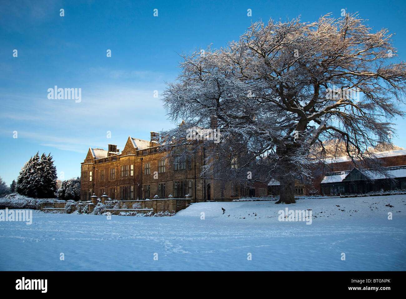 Winter Dawn Gisborough Hall, Guisborough, Cleveland Stock Photo - Alamy