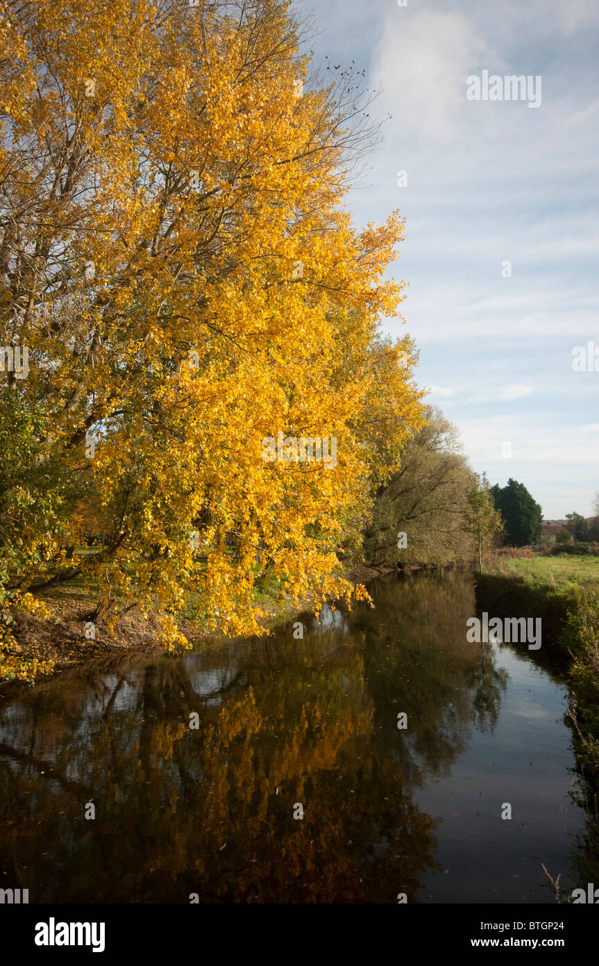 River stour at Fordwich village Canterbury Kent England UK Stock Photo Alamy
