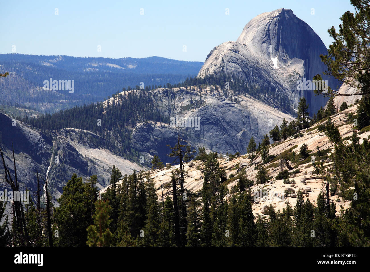 View of Half Dome Yosemite National Park California Stock Photo - Alamy