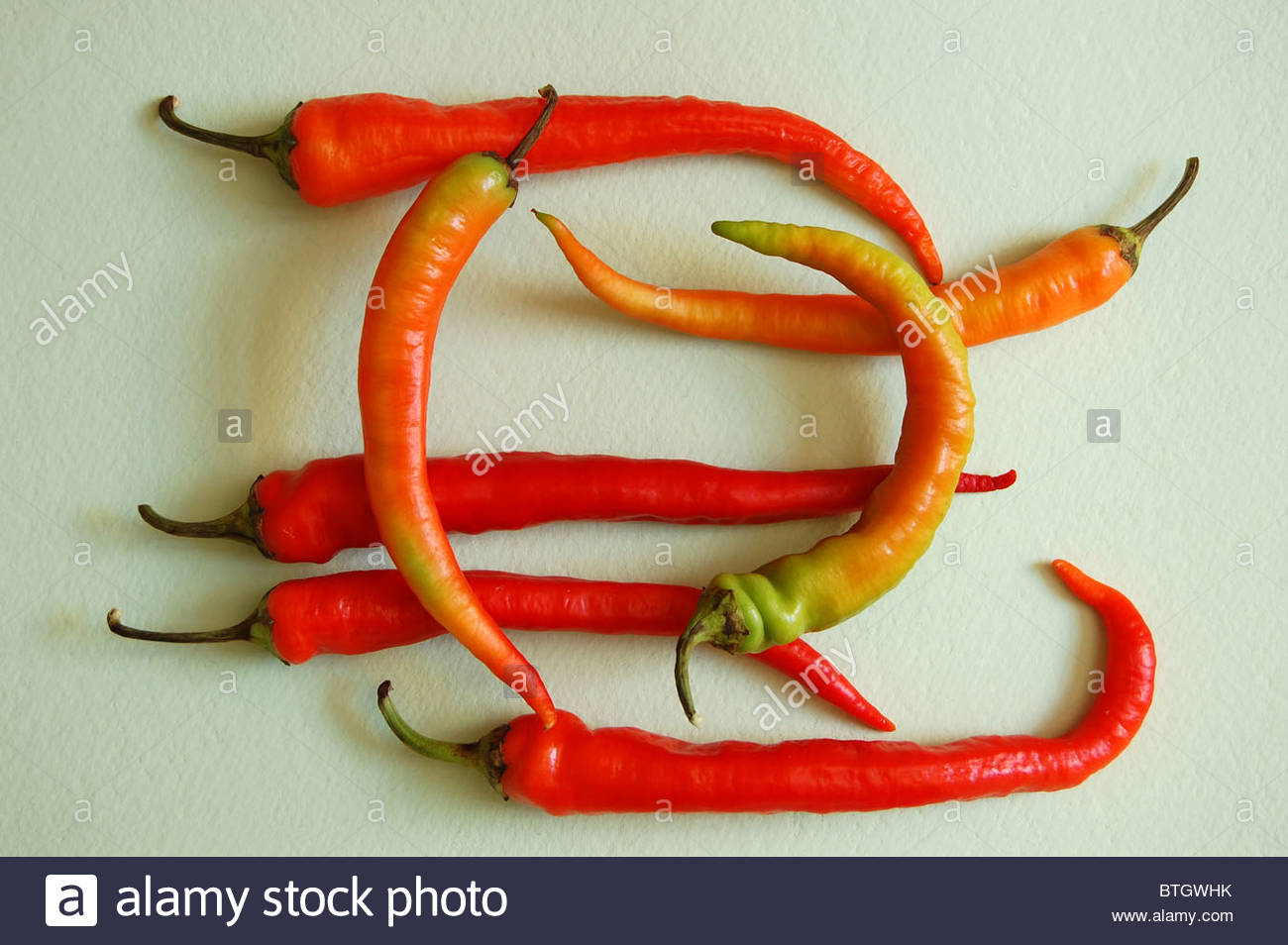 Arbol Chili Stock Photos & Arbol Chili Stock Images Alamy