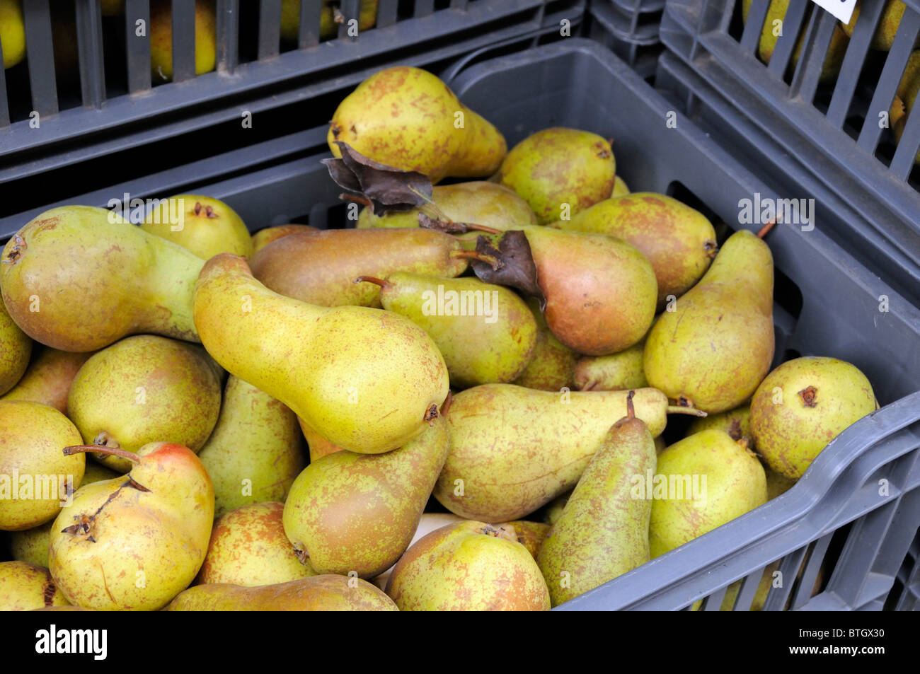 Doyenne De Comice Pears in crate, Covent Garden London England UK Stock Photo