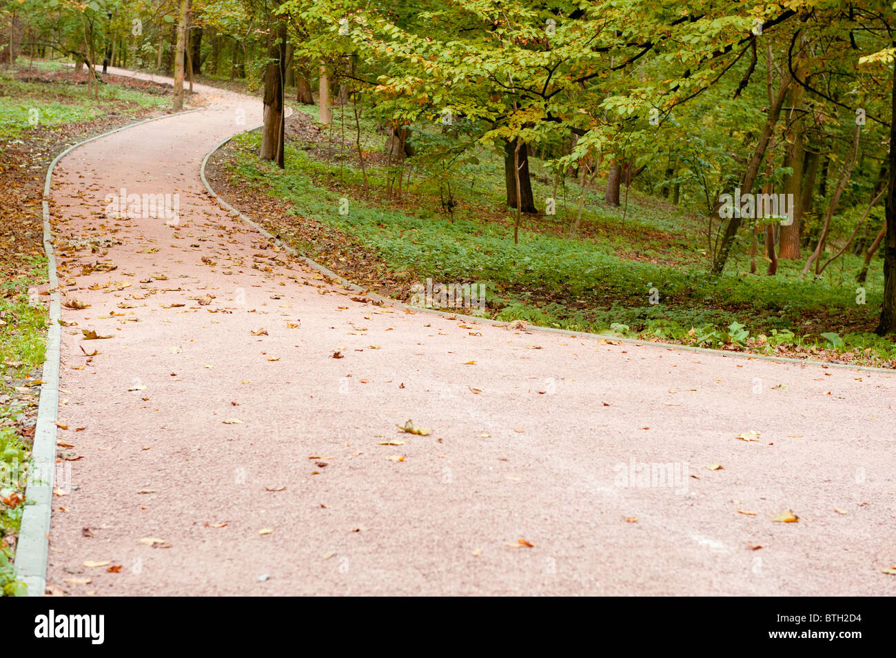 Leaf fall on footpath hi-res stock photography and images - Alamy