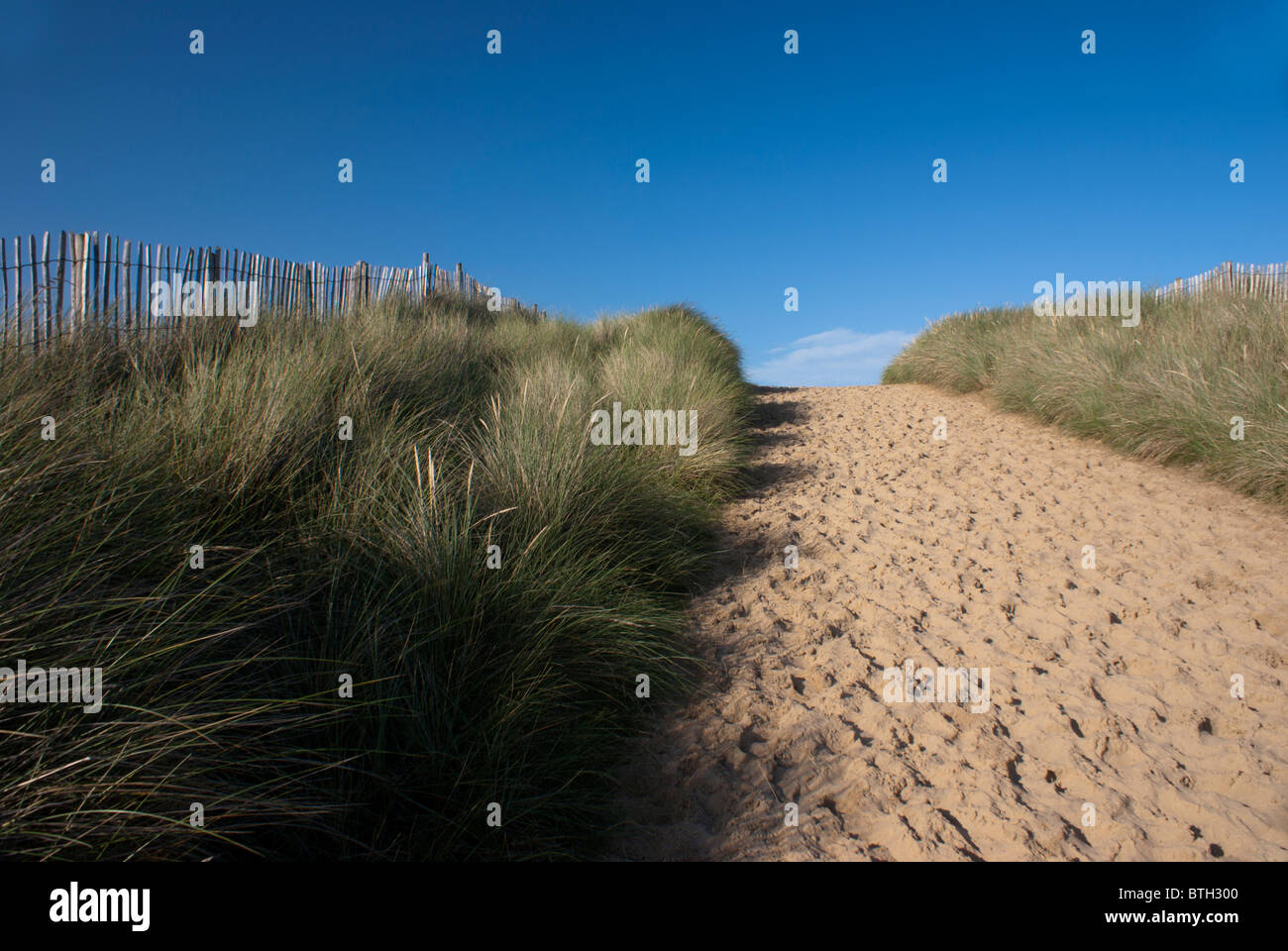 Sandy path through the dunes Stock Photo