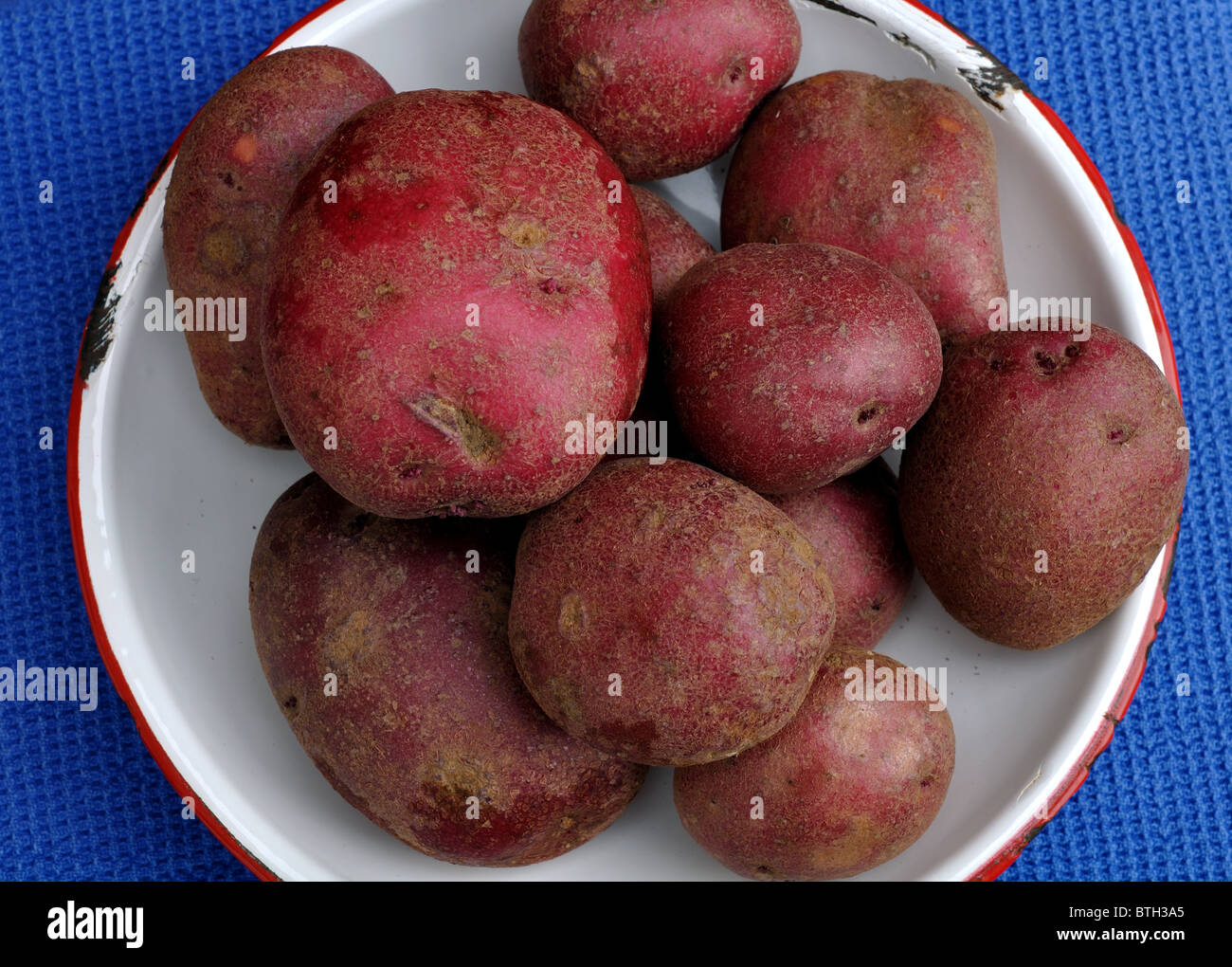 Red Duke of York potatoes Stock Photo