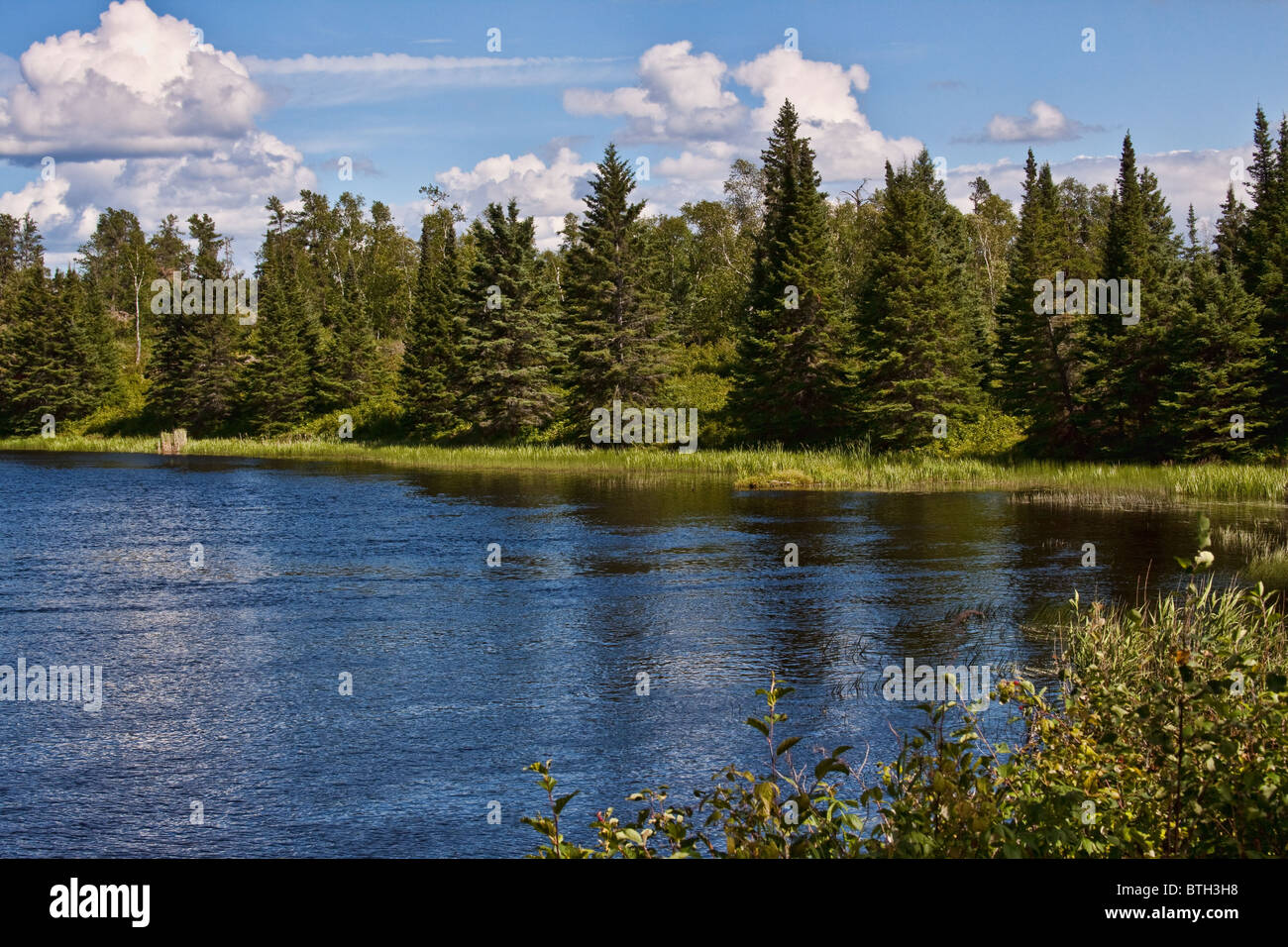Tranquil lake scene with trees hi-res stock photography and images - Alamy