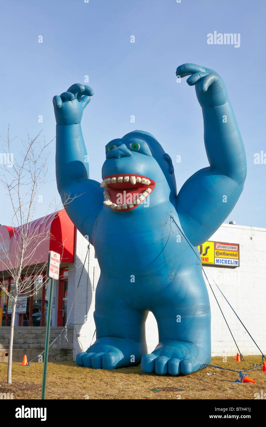 Big blue monster gorilla, advertising inflatable outside a tire store. Stock Photo