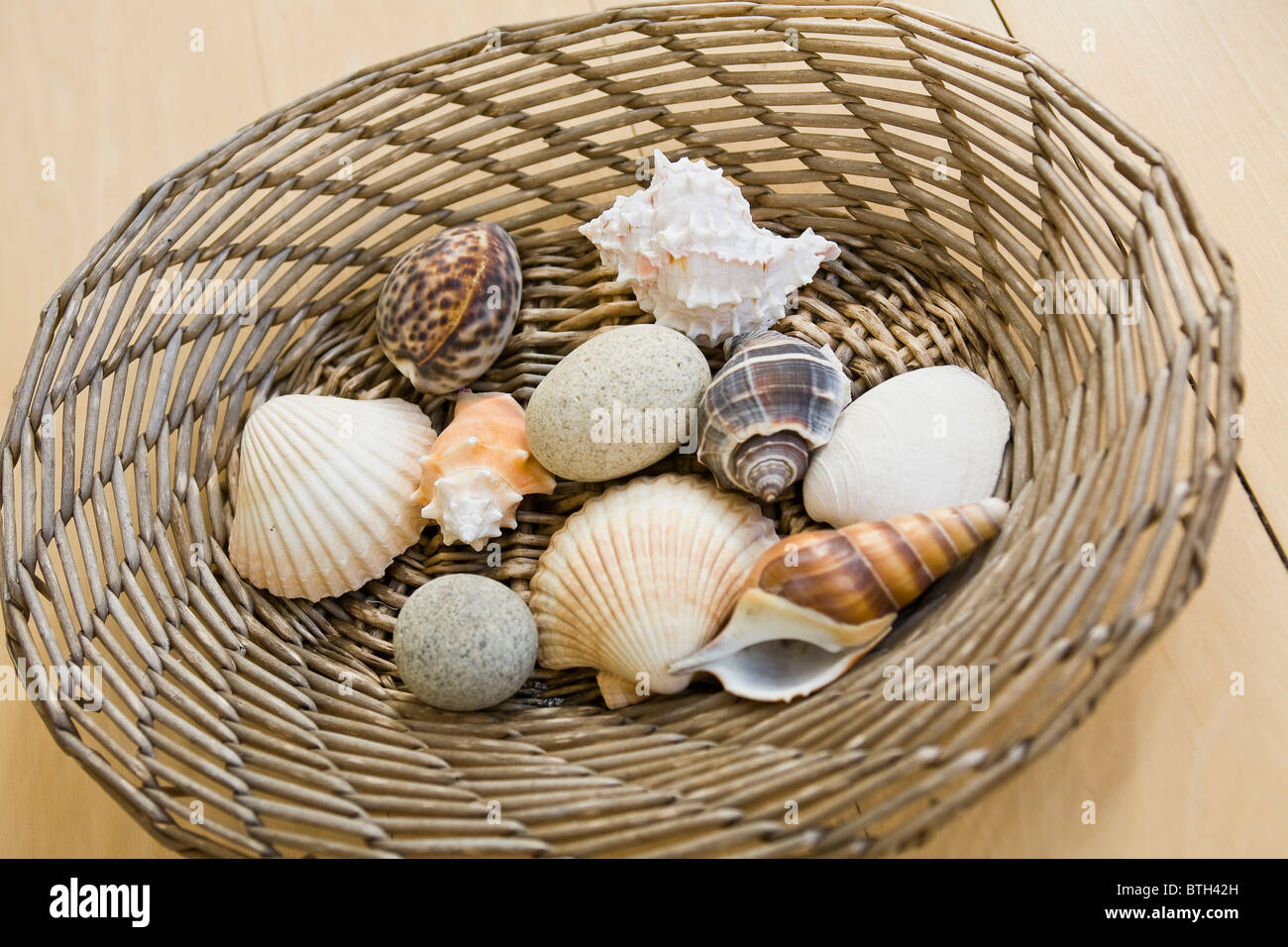 Basket of sea shells hi-res stock photography and images - Alamy