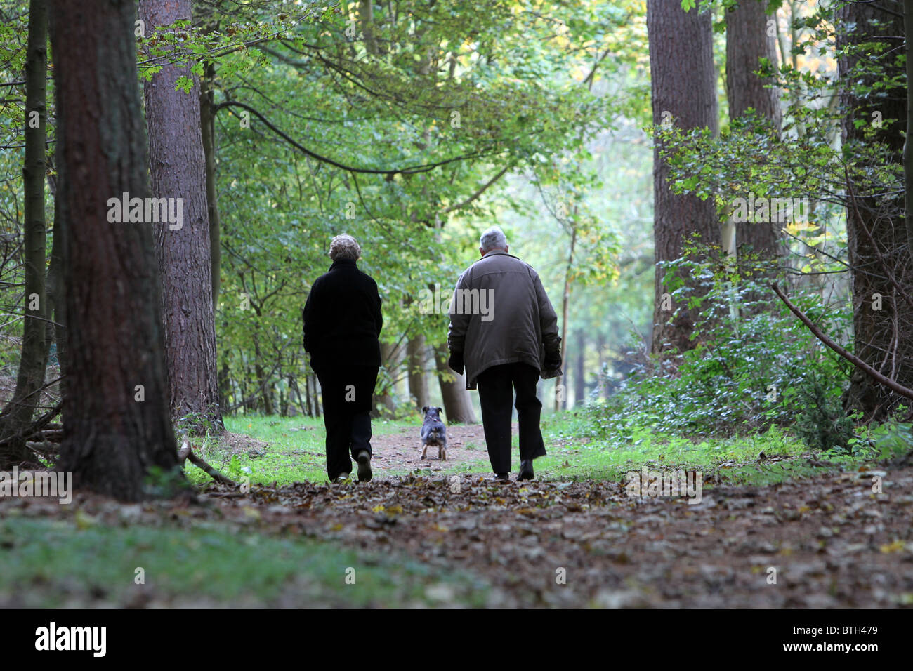 A couple walk their dog in the woods Stock Photo - Alamy
