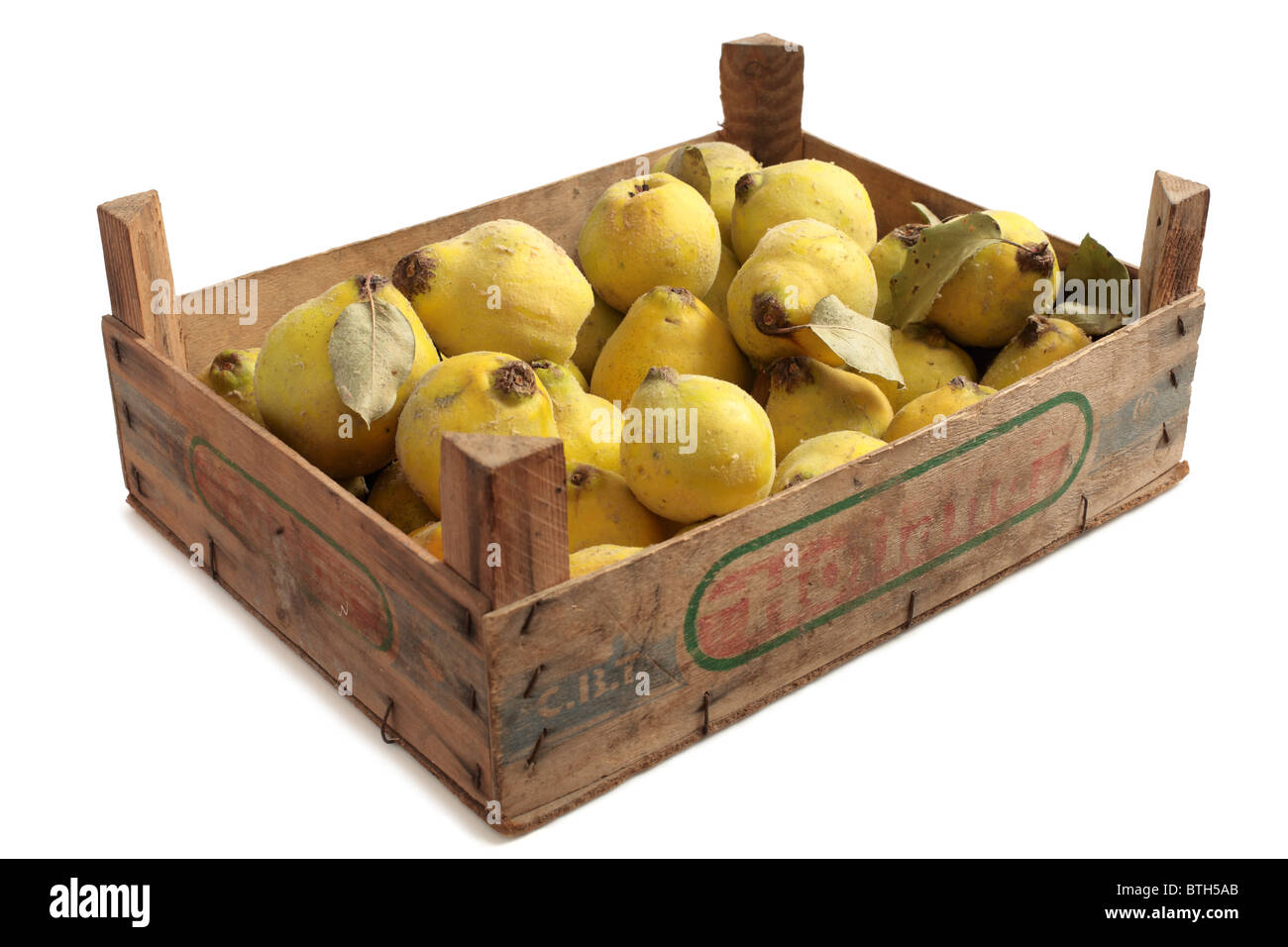 Quinces in a fruit box Stock Photo