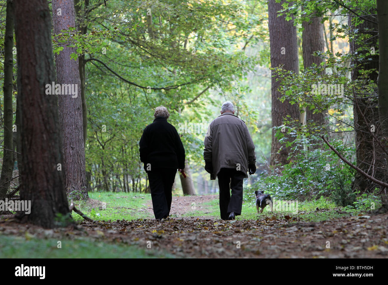 A couple walk their dog in the woods Stock Photo - Alamy