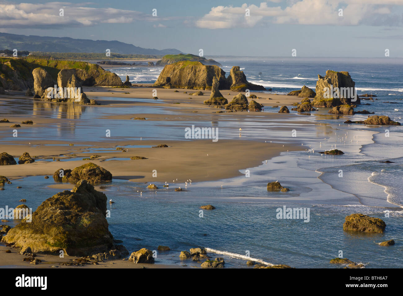 Low tide on Bandon Beach in the Oregon Islands National Wildlife Refuge