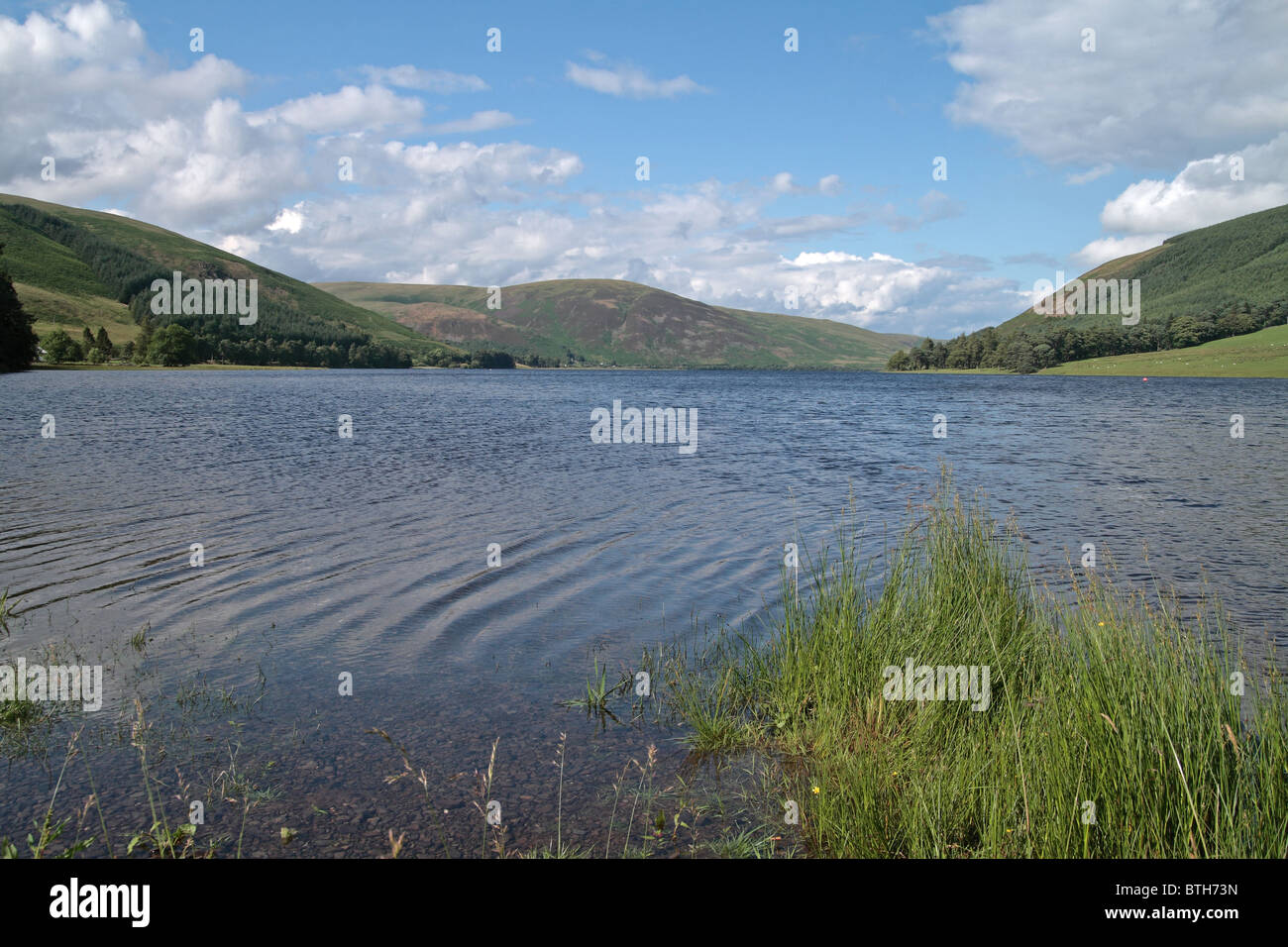 St Marys Loch, Upper Yarrow Valley, Borders, Scotland Stock Photo Alamy