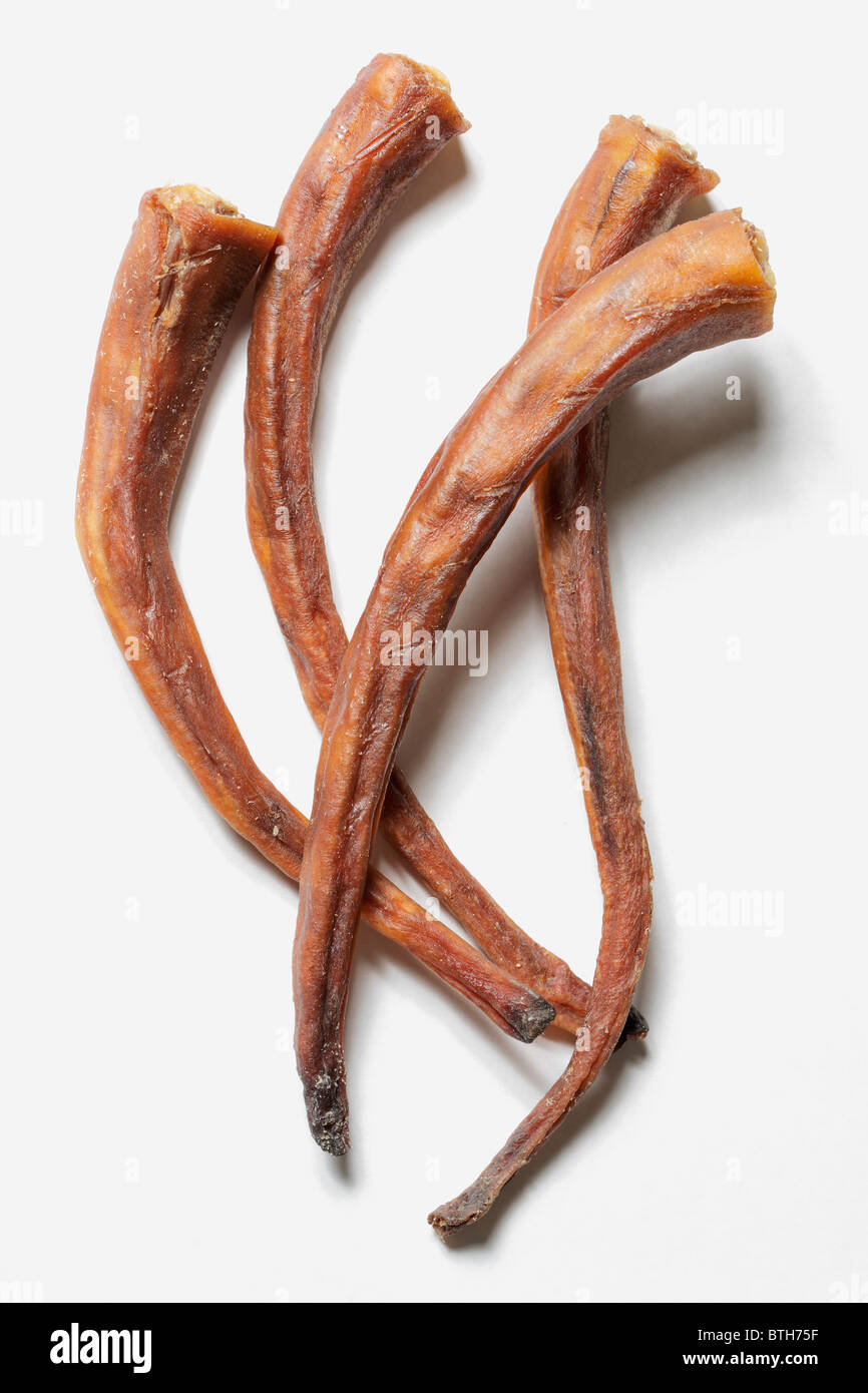 Are Pork Tails Safe For Dogs