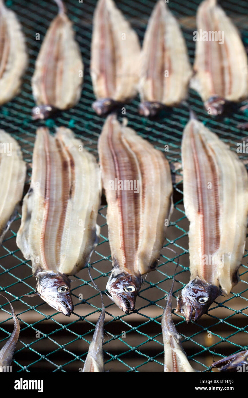 Fish Drying on racks at Jagalchi Seafood or Fish Market Busan South