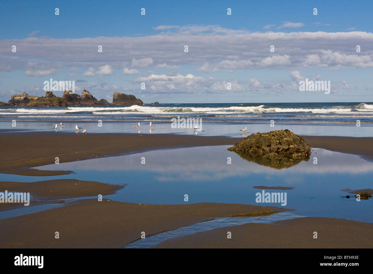 Face Rock State Scenic Viewpoint: Bandon Beach Area - See 753 traveler reviews, 482 candid photos, and great deals for Date of experience: February 2019. Bandon Beach Area - Traveller Reviews - Face Rock State