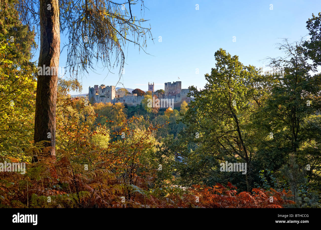View of Ludlow Castle with St Laurence Church beyond, from Mortimer's Forest Stock Photo