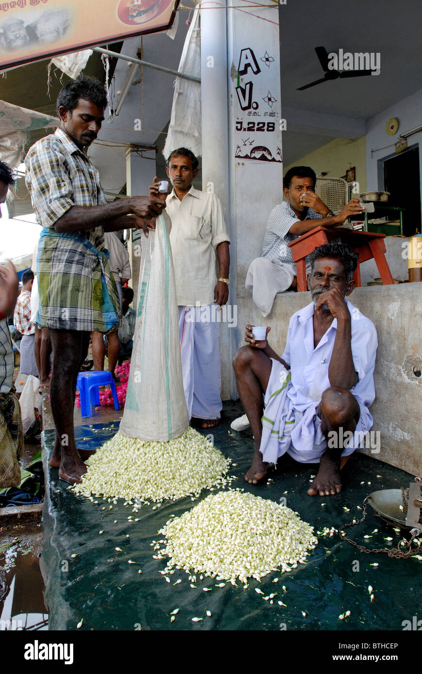 JASMINE FLOWER MARKET IN MADURAI TAMILNADU Stock Photo Alamy