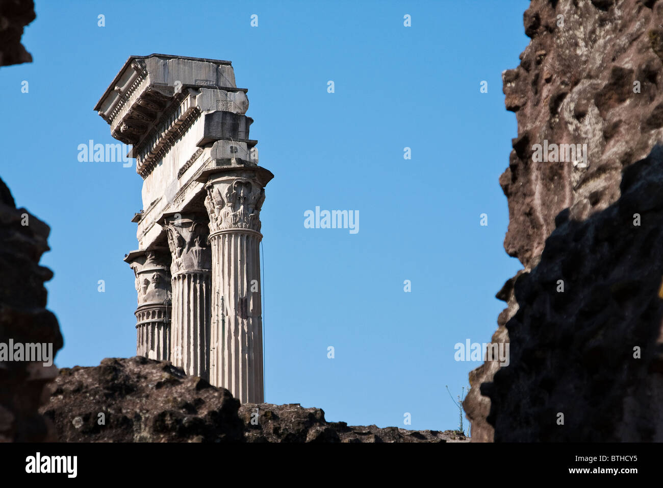Capitellum Stock Photos & Capitellum Stock Images - Alamy