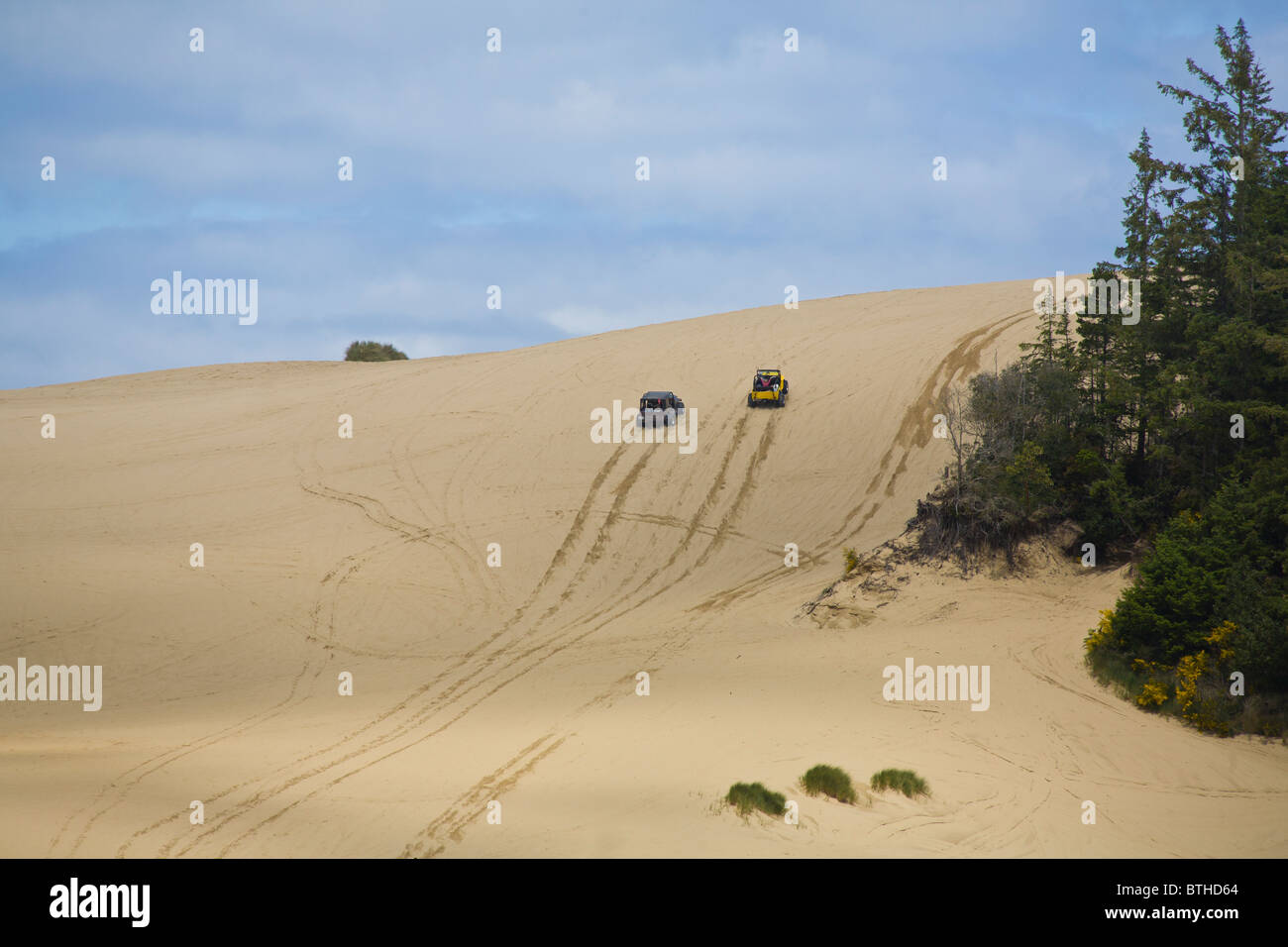 ATVs in Oregon Dunes National recreation Area north of Coos Bay Oregon Stock Photo