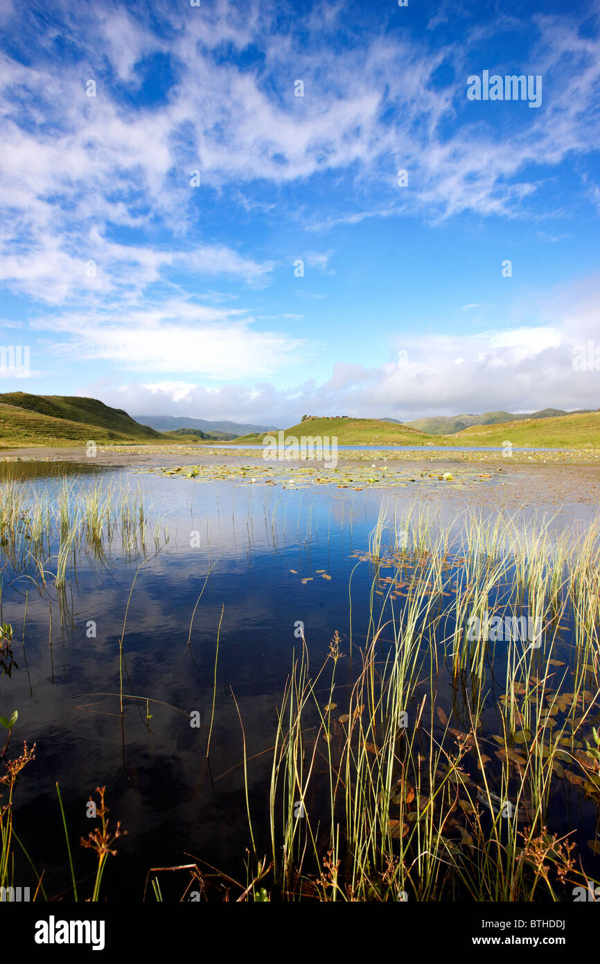 Lochan a Chlaginn, a small loch on the Craignish Peninsula, Argyll, Scotland. Summer Stock Photo