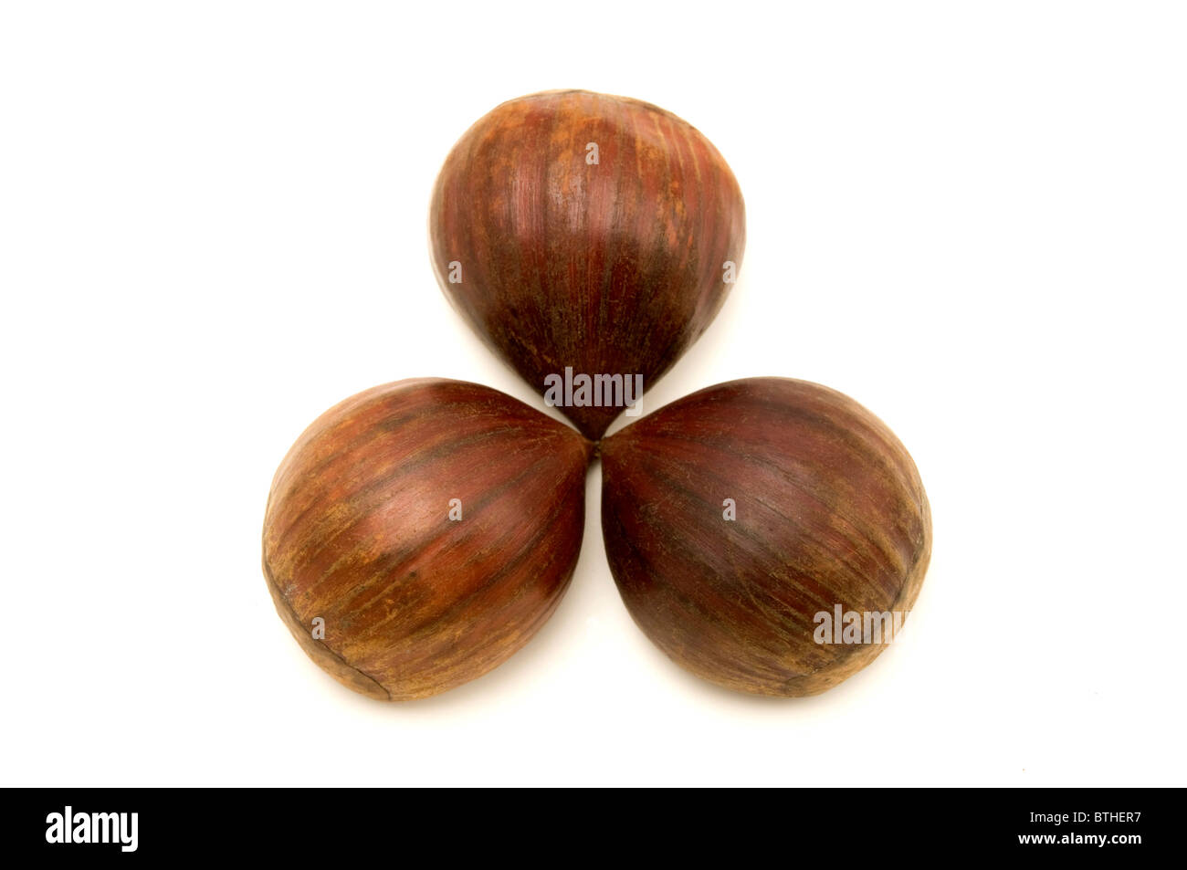Sweet chestnuts fruits on a white background Stock Photo