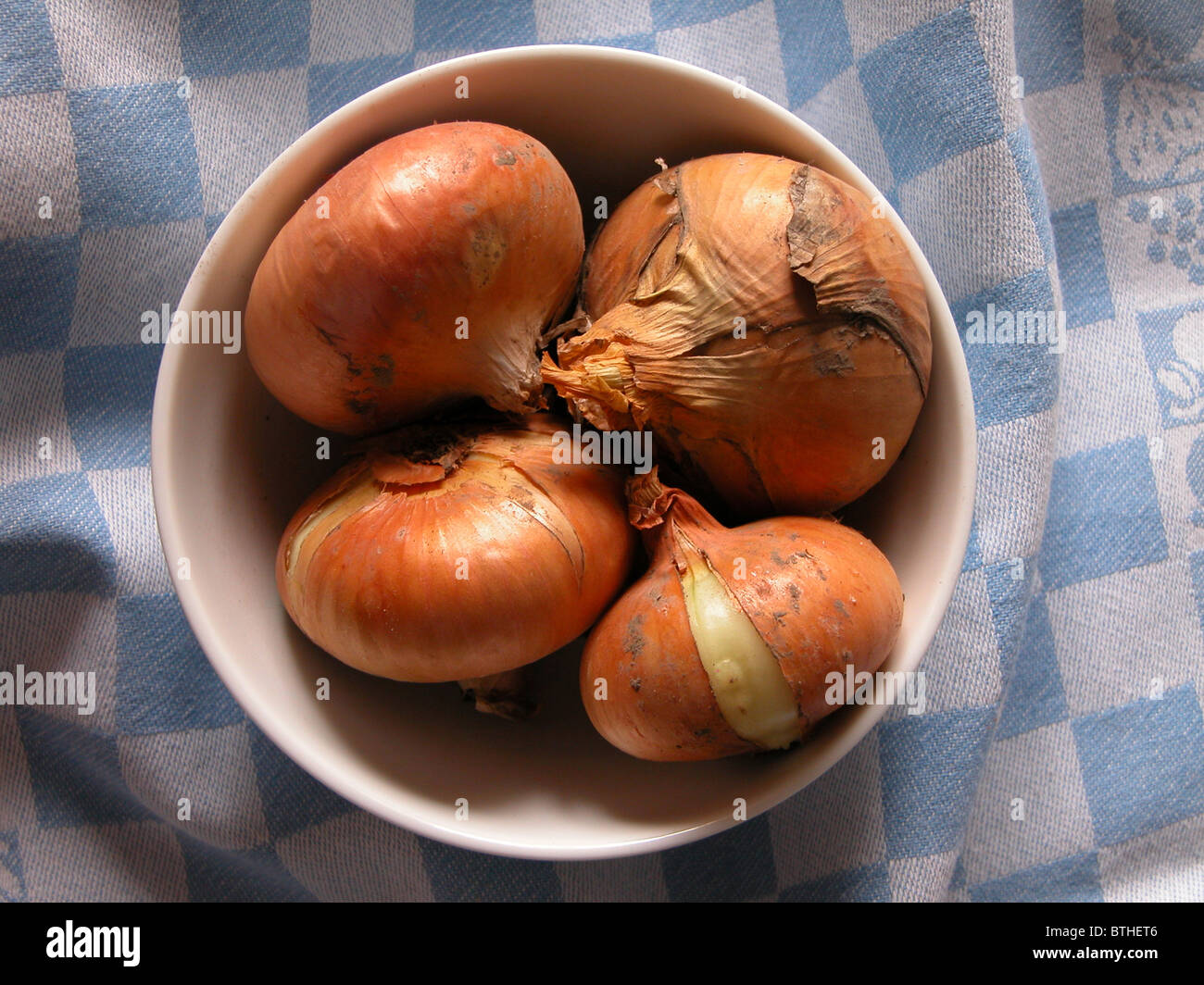 onion Stock Photo