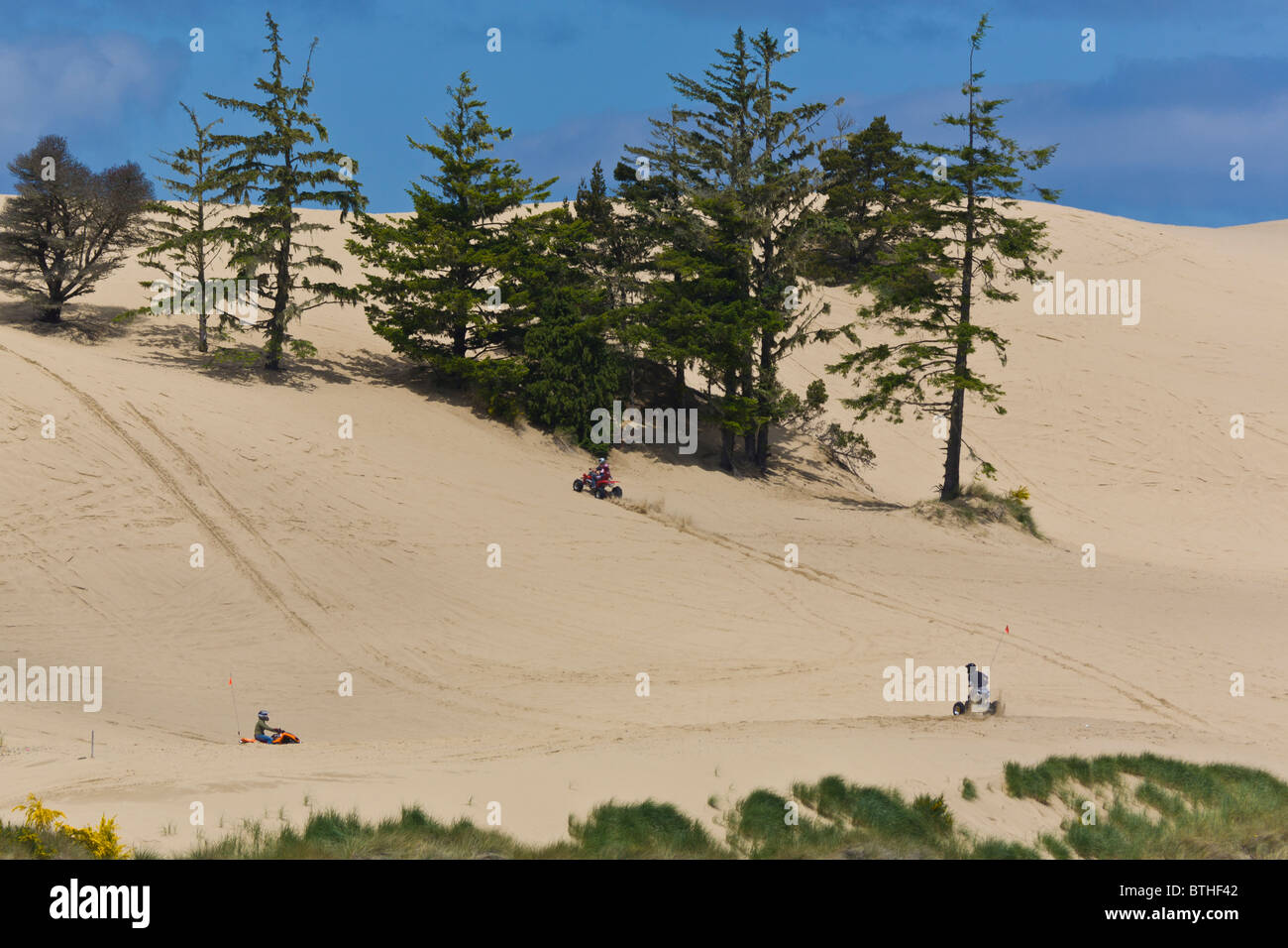 ATVs in Oregon Dunes National recreation Area north of Coos Bay Oregon Stock Photo