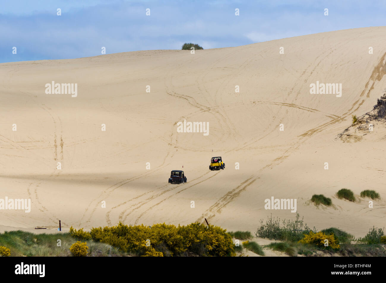 ATVs in Oregon Dunes National recreation Area north of Coos Bay Oregon Stock Photo