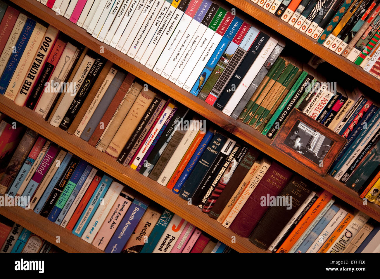 Books on bookcase, London Stock Photo Alamy