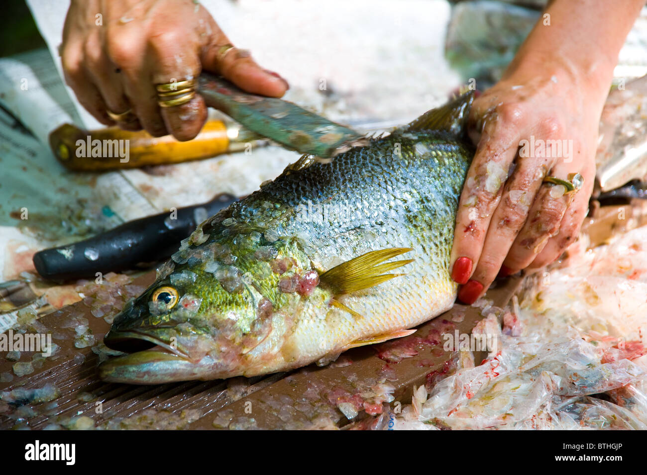 Big Mouth fish cleaning cutting splitting Stock Photo - Alamy
