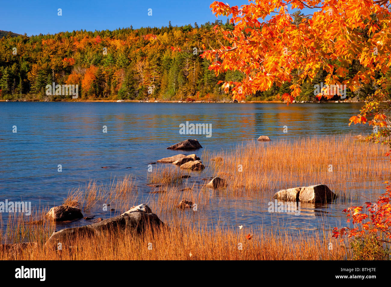 Autumn colors over Eagle Pond in Acadia National Park, Maine USA Stock Photo
