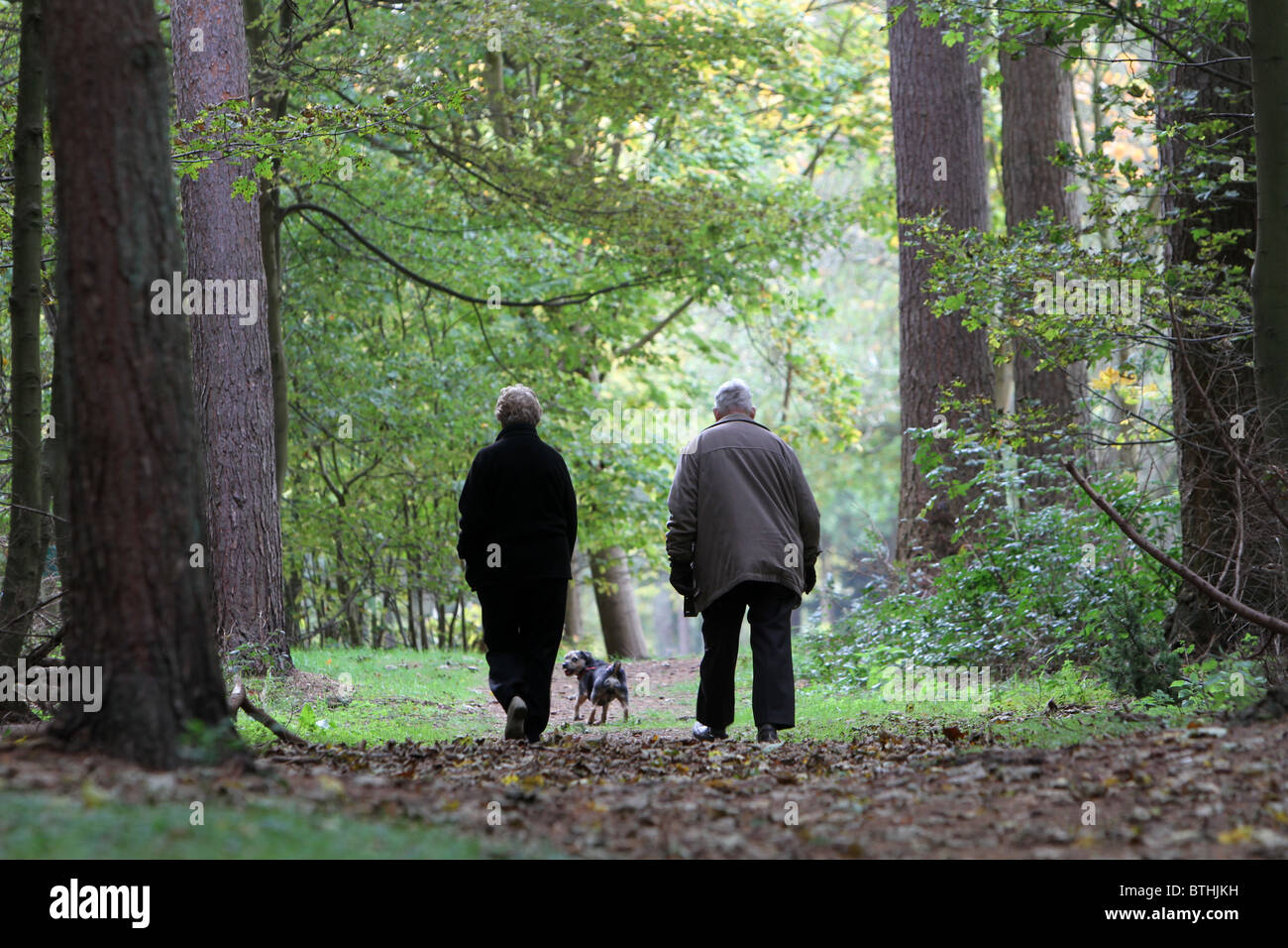 A couple walk their dog in the woods Stock Photo - Alamy