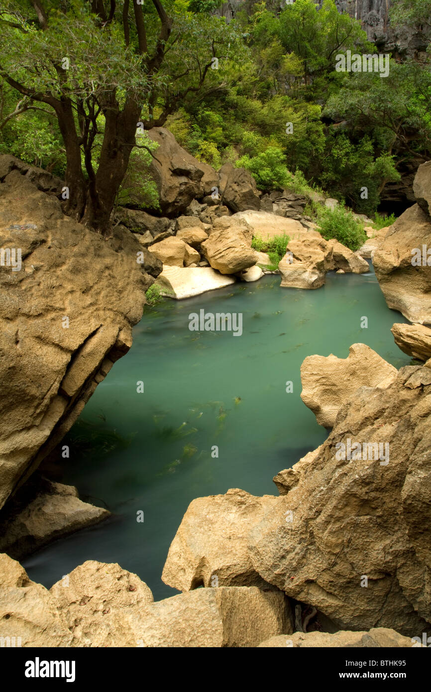 Ankarana National Park - Madagascar Stock Photo