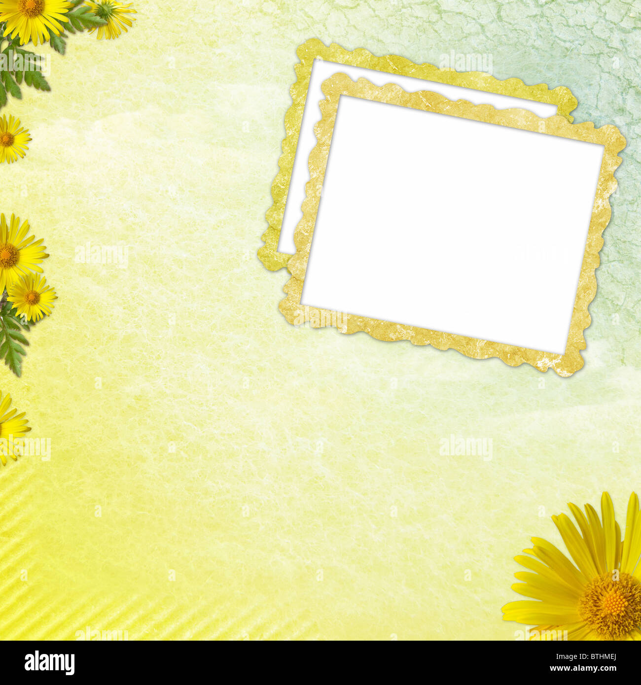 Summer background with frame and flowers Stock Photo - Alamy