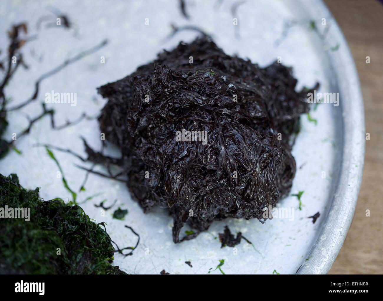 Laver Algae Seaweed laver algae hi-res stock photography and images - Alamy