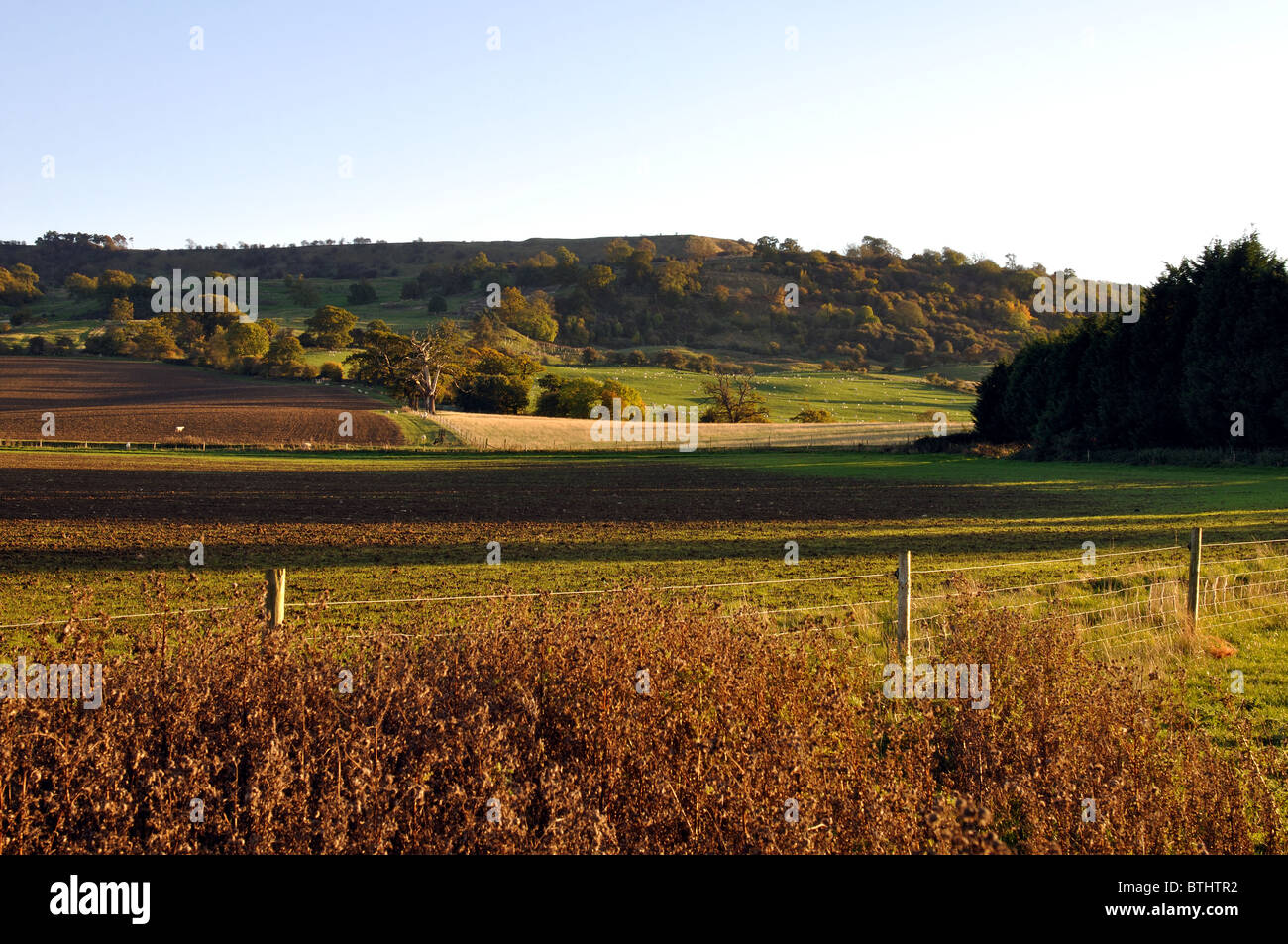 Bredon Hill seen from Great Comberton, Worcestershire, England, UK