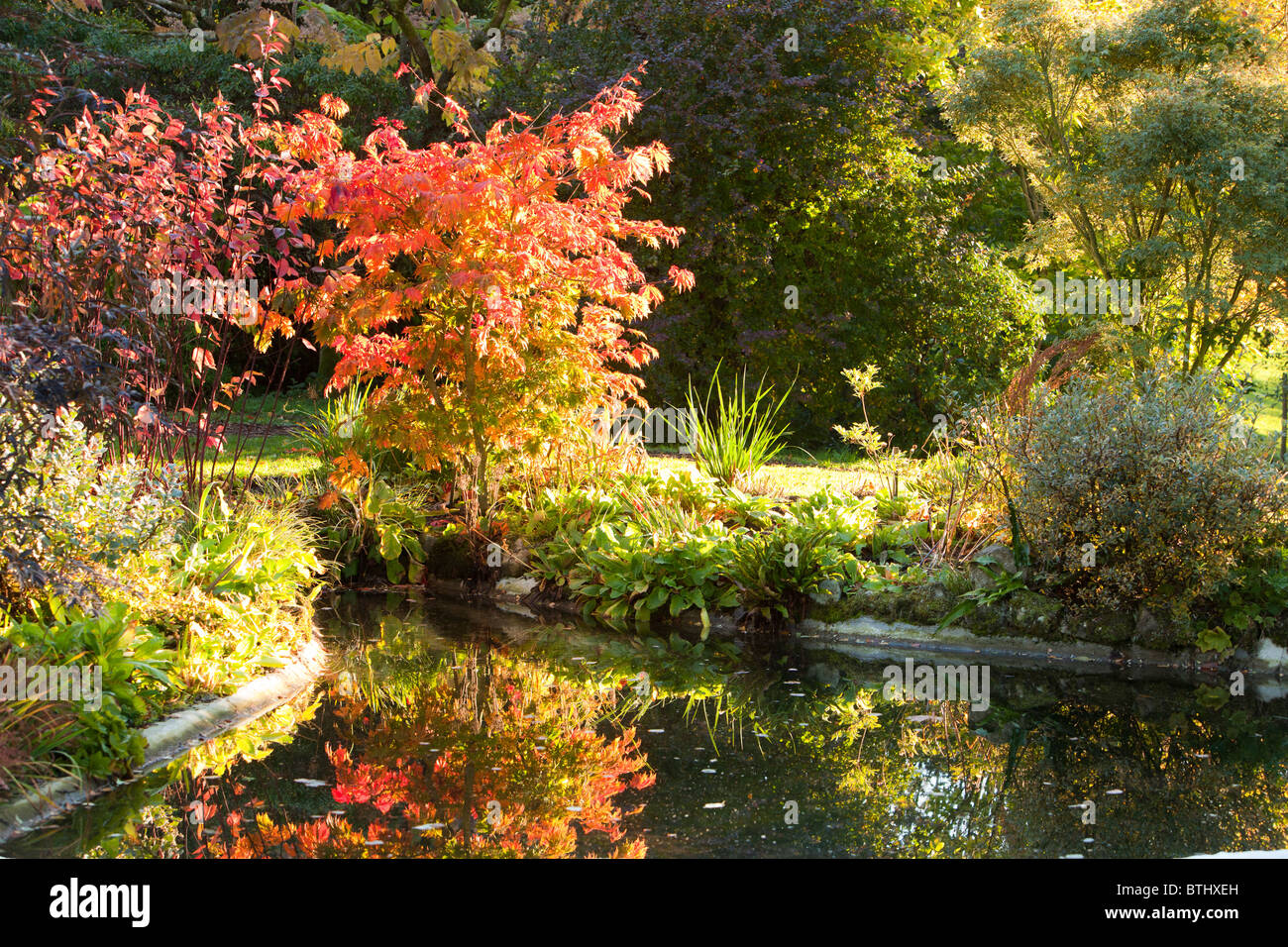 Holehird gardens in Windermere in Autumn, Lake District, UK. Stock Photo