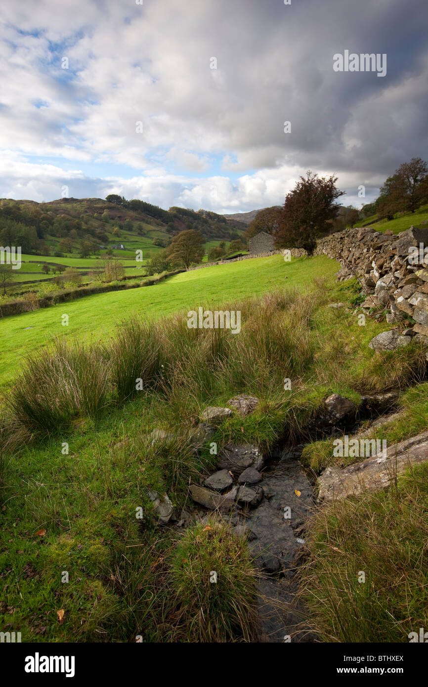 Fell, Cumbria, Lake District Dry Stone Wall Stock Photo