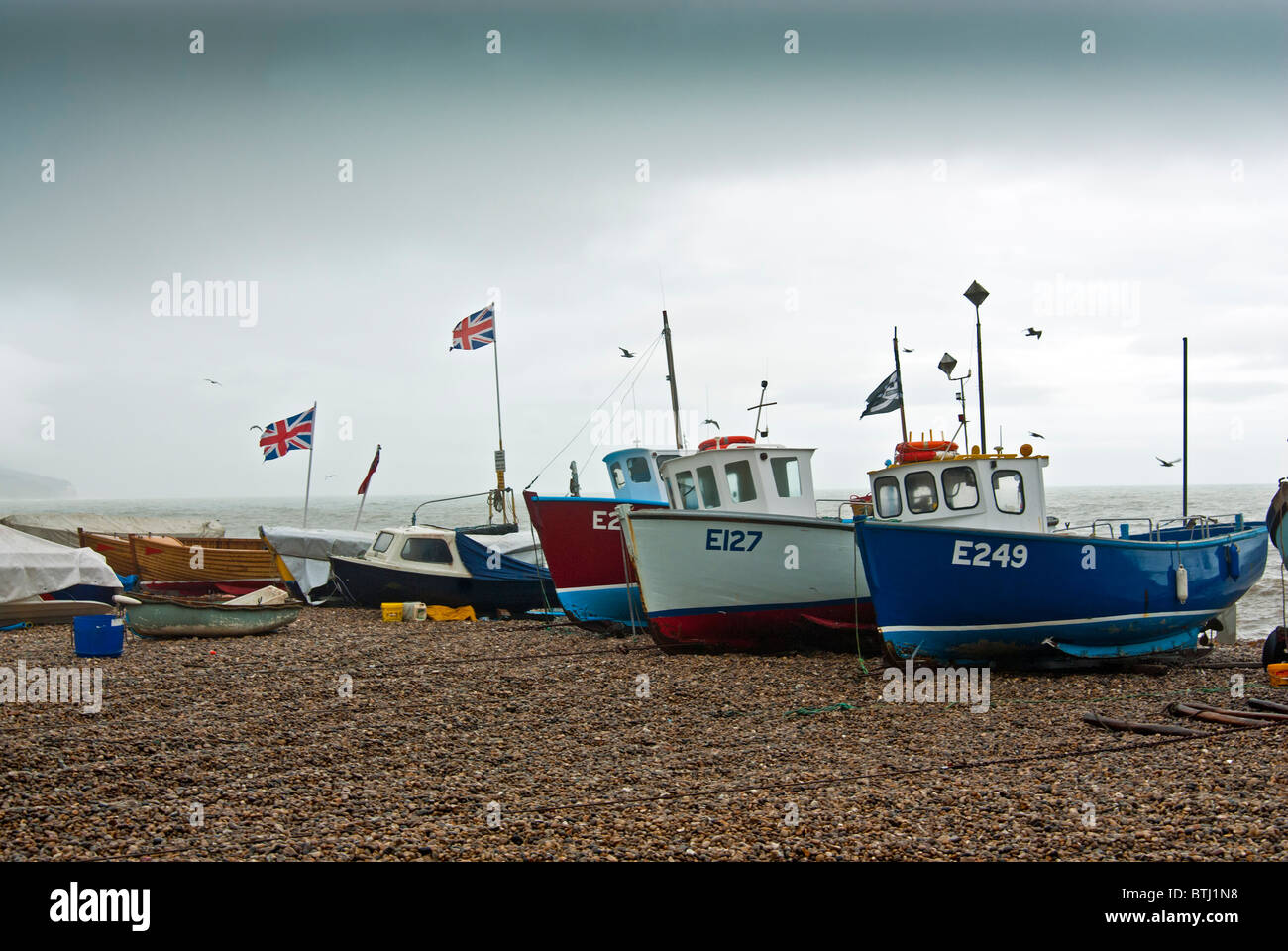 Fishing boats, Beer, Devon Stock Photo Alamy