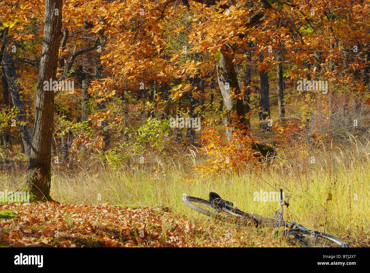 Yellow mountain bike hi-res stock photography and images - Alamy