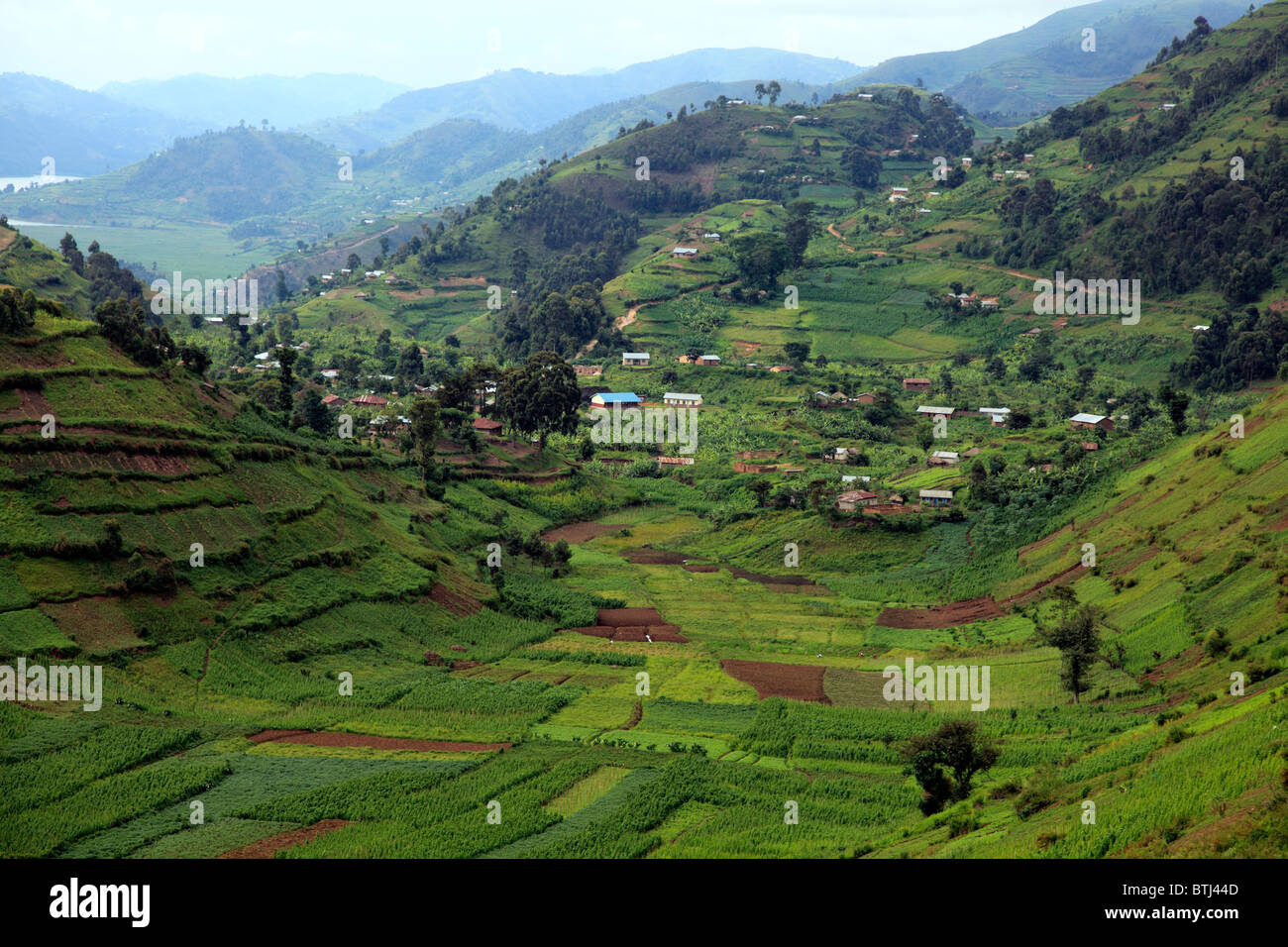 Landscape, near Kisoro, Uganda Stock Photo