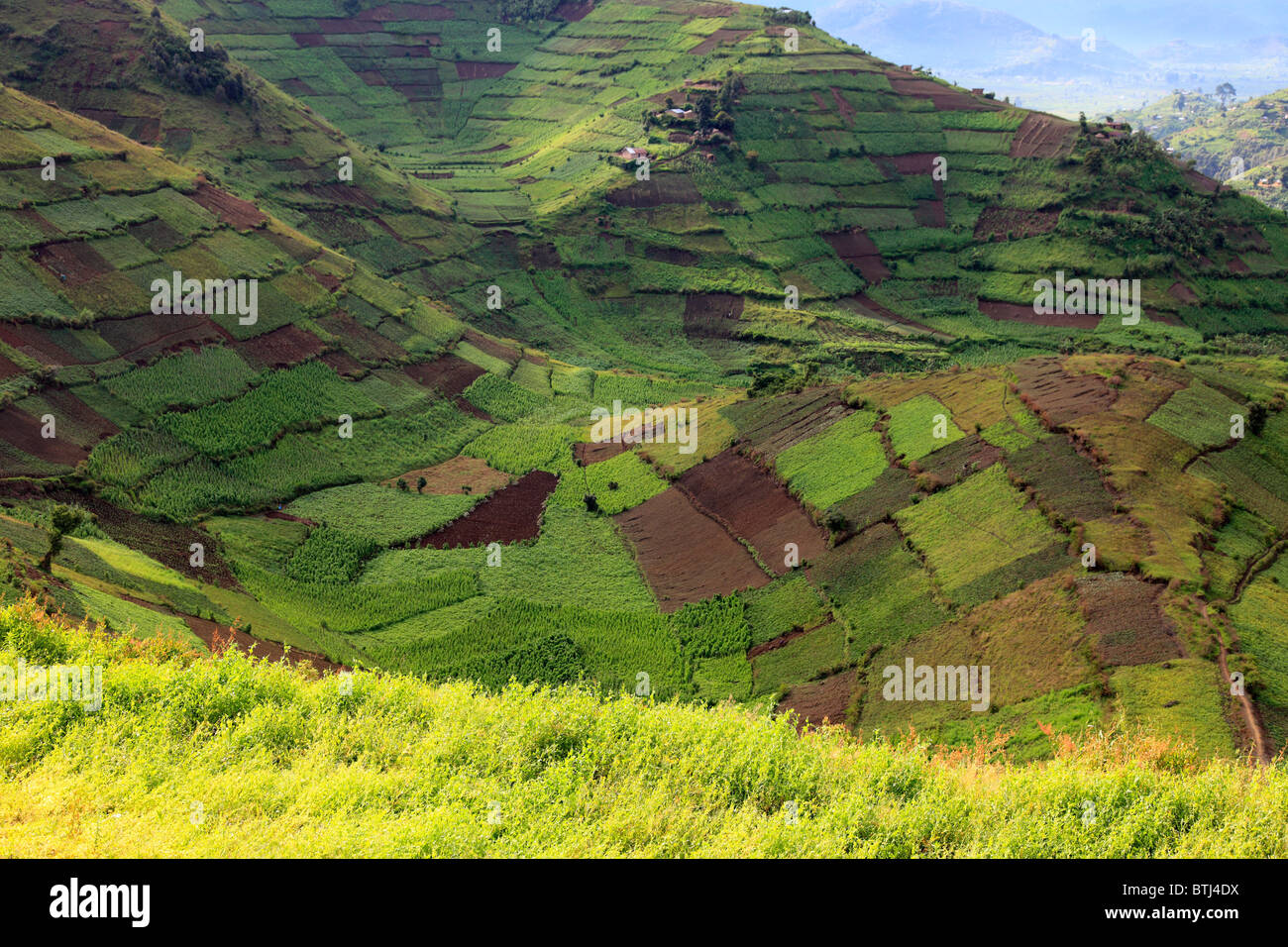 Landscape, near Kisoro, Uganda Stock Photo