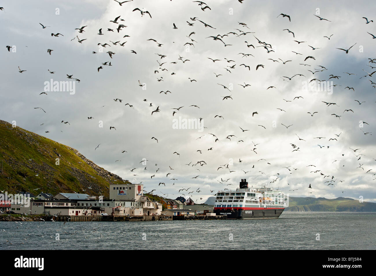 A flock of seagulls over the coastal liner Hurtigruten ship MS Trollfjord in Havøysund, Finnmark, North Norway Stock Photo