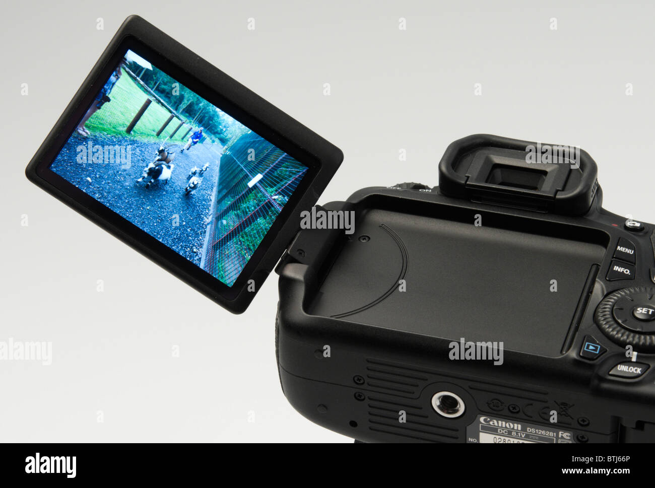 Canon 60D digital single lens reflex camera late 2010 launch - rear LCD  screen with folding tilt swivel action Stock Photo - Alamy