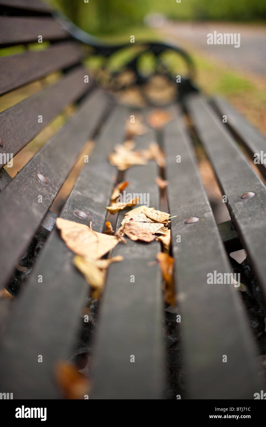 Autumn leaves on park bench Stock Photo - Alamy