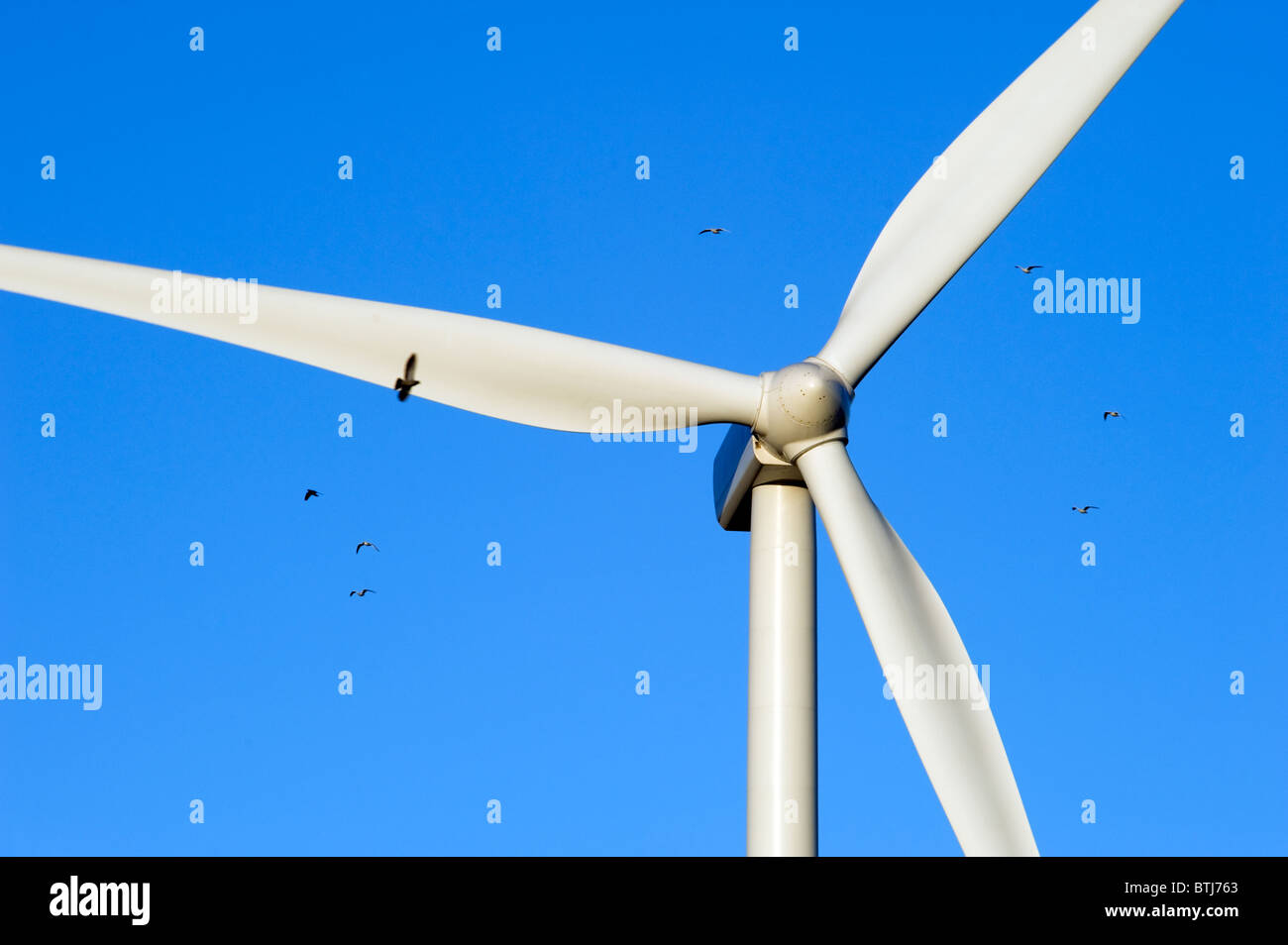 Land Based Wind Turbine Stock Photo Alamy