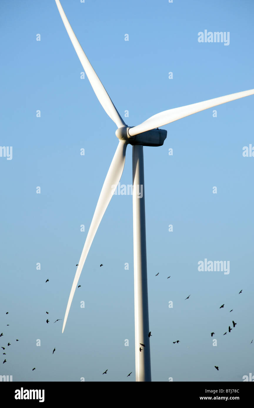 Land Based Wind Turbine Stock Photo Alamy