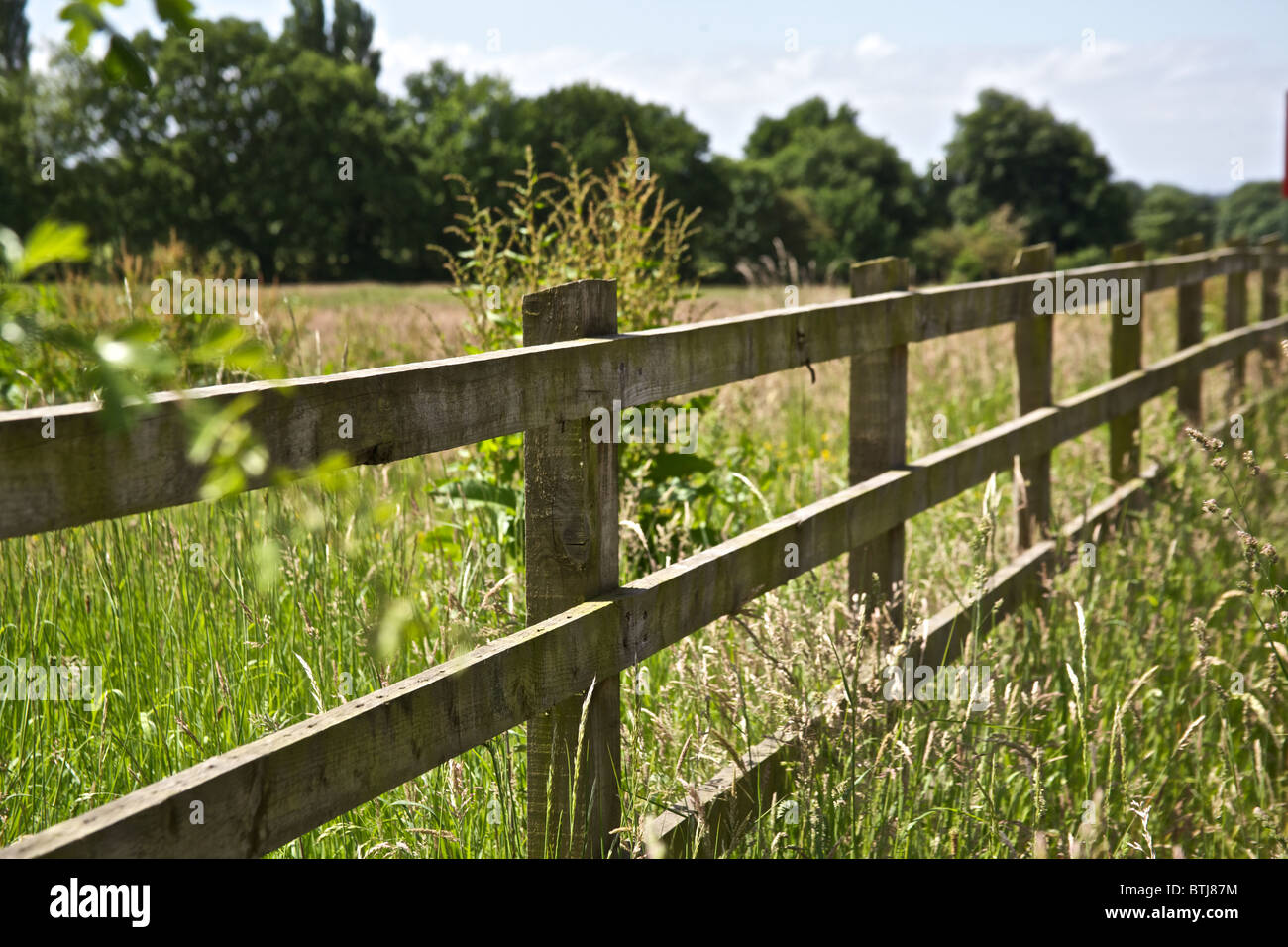Trees grass fence hi-res stock photography and images - Alamy