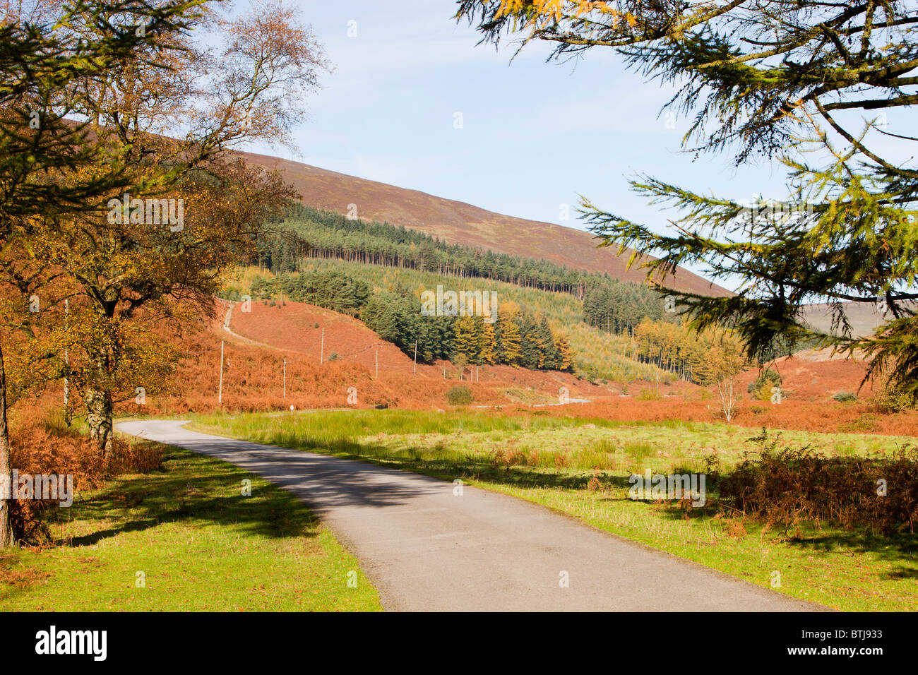 The Dunsop Valley above Dunsop Bridge in the Trough of Bowland